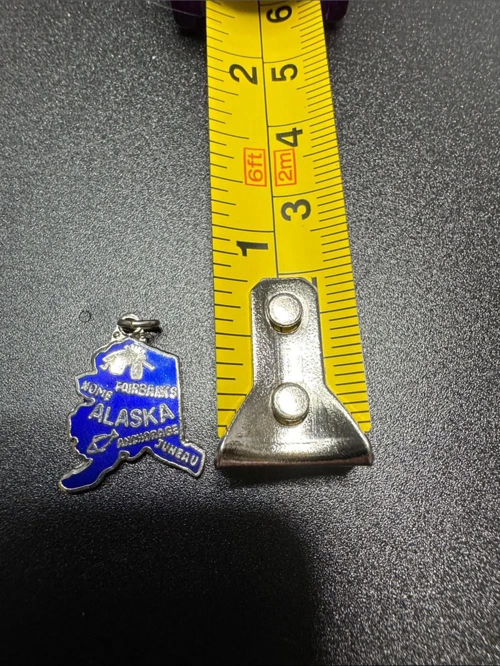 Source Unknown Blue Alaska Enamel Charm Pendant